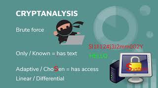 CISSP Domain 3 CRYPTANALYSIS [upl. by Eellek728]