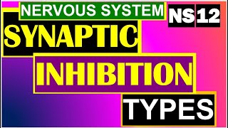 Synaptic inhibition and Types of Inhibition Nervous System Anatomy Physiology Part 12 [upl. by Merriott]