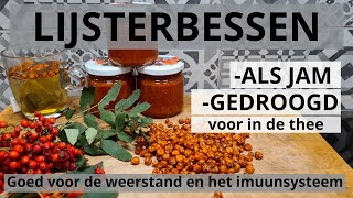 Lijsterbessenjam en Gedroogd Goed voor de Weerstand en het Immuunsysteem [upl. by Yllac]