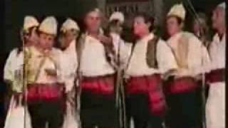 Aranit Daupi Heronjte e kombit Ansambli Folklorik Çipini 1994 [upl. by Llertnod452]