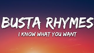 Busta Rhymes Mariah Carey  I Know What You Want Lyrics ft Flipmode Squad [upl. by Plotkin385]