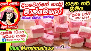 ✔ දියවෙන්නේ නැති මාෂ්මෙලෝ හදන හරි ක්‍රමය Soft Real Marshmallows English sub by Apé Amma [upl. by Bond144]