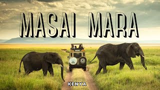 Masai Mara  Kenya🚩  Exploring African Wildlife Adventures  2024 [upl. by Herby844]