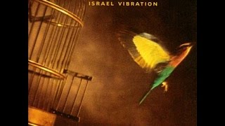 ISRAEL VIBRATION Terrorist Free To Move [upl. by Newsom]