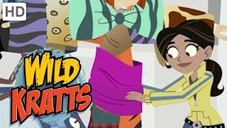 Wild Kratts 🎀 The Crew Jacket  Kids Videos [upl. by Trainor]