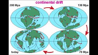 Alfred Wegeners Evidence of Continental Drift Theory [upl. by Devina]