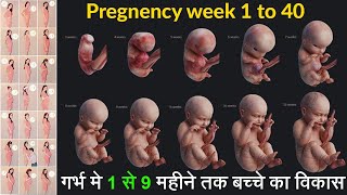 pregnancy week by week I Foetus Development I Pregnancy week by week in Hindi I [upl. by Kalie]