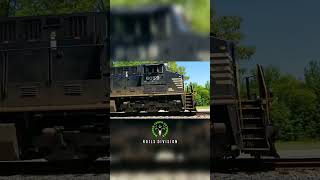 Norfolk Southern  Southwest TN [upl. by Atena]