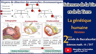 La génétique humaine  2ème Bac SVT2ème Bac Sc MathA [upl. by Akinom128]