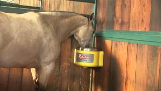 Help maintain your horses health with Ritchie automatic waterers [upl. by Okiram]