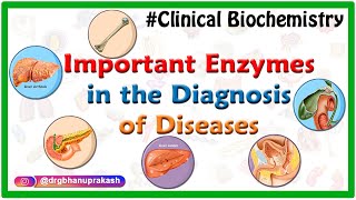 Important Enzymes in the Diagnosis of Diseases  Clinical Biochemistry Animations usmle [upl. by Everrs]