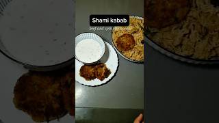 Homemade Shami Kebab Recipe  Easy amp Delicious Pakistani Beef Kebabs  Perfect Snack or Meal [upl. by Hniht]