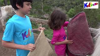 APRENDEMOS 🐎 CABALLOS 🐴 Poni Club Catalunya Actividades Fin Semana Familia Centro Equitación [upl. by Eelnayr870]