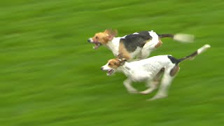 Epic finish to Hounds Trail at Carlisle [upl. by Anilag]