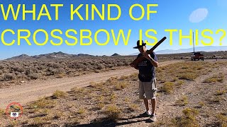 CROSSBOW FORUM WHAT A NEW CROSSBOW [upl. by Bolten]