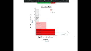 How Is the Size Principle of Motor Unit Recruitment Related to the PowerDuration Relationship [upl. by Rednirah]