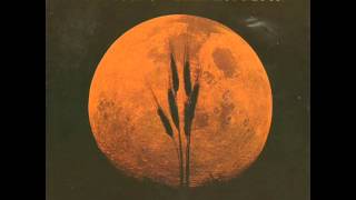 Harvest Moon  Neil Young [upl. by Boeke]