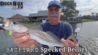 DockSide TV Back Yard Speckled Bellies [upl. by Elayor500]