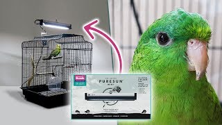 NEW PureSunMini FullSpectrum UVB lighting for Birds Professinal Avian Lighting from Arcadia [upl. by Lore240]