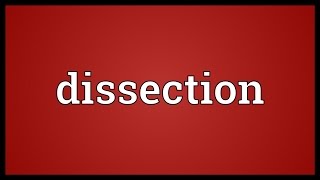 Dissection Meaning [upl. by Drandell]