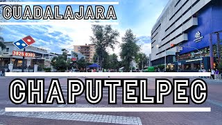 Camine por el corredor de Chapultepec en Guadalajara  Antros bares y mas  4K [upl. by Elleryt]