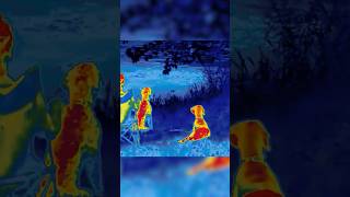 Thermal Imaging Evolved  Zeiss DTI 450 [upl. by Ahsiekahs]