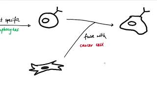 AQA GCSE  B6 Preventing and treating diseases OVERVIEW [upl. by Emeric845]