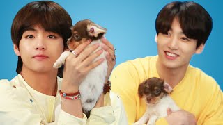 BTS Plays With Puppies While Answering Fan Questions [upl. by Addi]