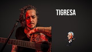 CAETANO VELOSO  TIGRESA [upl. by Lobel]