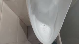 Big C Thang Long 1st floor mens toilet [upl. by Asssilem]