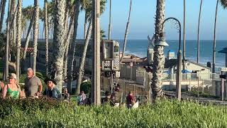 Ocbus Amtrak And Metrolink Trains At San Clemente and San Juan Capistrano 81723 [upl. by Inness]