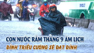 Triều cường đạt đỉnh vào con nước rằm tháng 9  MIỀN TÂY HÔM NAY  SÁNG 14102024 [upl. by Anelhtac]