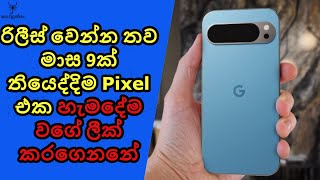 මේ දක්වා ලීක් වෙලා තියෙන තොරතුරු ටික අලුත්ම Pixel Phone එක ගැන [upl. by Eelyab602]