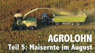 Lohnunternehmen Agrolohn Maisernte im August [upl. by Garibald258]