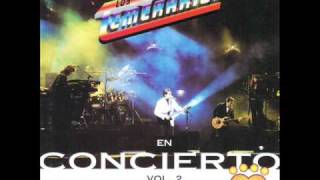 volvere de mi viaje en vivo los temerarios [upl. by Crosby]