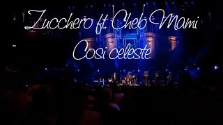 Zucchero ft Cheb Mami  Cosi celeste Srpski prevod [upl. by Erdnoed]