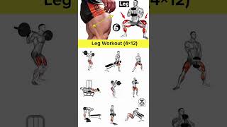 leg workout at home leg day workoutdumbbell leg workout 5 Exercises For Leg Growth legexcercise [upl. by Naresh]