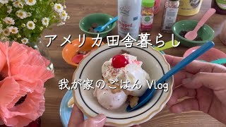 【🇺🇸アメリカ田舎暮らし】Vlog チキンとマルサラワインのパスタアイスクリームパーティー 国際結婚 暮らしのvlog [upl. by Heinrick]