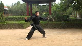 An Wushu  Baji Quan [upl. by Nyahs745]