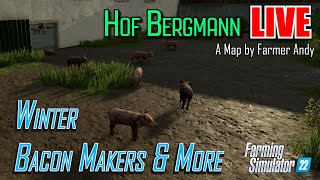 Hof Bergmann 15  Winter on the Farm  Farming Simulator 22 [upl. by Nofpets1]