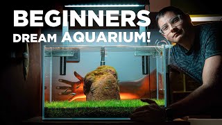 BEGINNERS dream AQUARIUM Watch how I built it in just a few SIMPLE STEPS [upl. by Annaor]