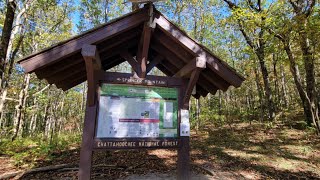 rt 180 blairsville ga brasstown bald october 20th 2024 fall colors are popping out [upl. by Little]