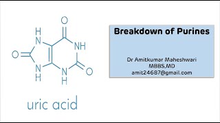 Purine Catabolism  Uric Acid Synthesis  Biochemistry  Molecular Biology  NEET PG [upl. by Eddi79]