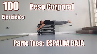 100 EJERCICIOS CON PESO CORPORAL  ESPALDA BAJA [upl. by Thorin471]