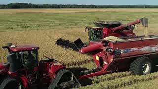 At Ralston Farms Regenerative Agriculture Takes Center Stage [upl. by Fulbert250]