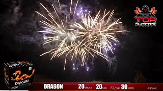 DRAGON BY RIAKEO FIREWORKS  TOP SHOTTER FIREWORKS [upl. by Harihs]