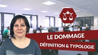 Le dommage  définition et typologie  Droit  digiSchool [upl. by Yelha872]