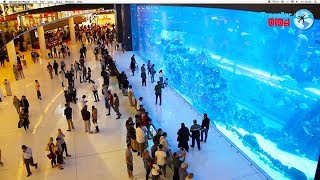 Dubai Mall World s largest Shopping Mall 2019 HD [upl. by Clarabelle]