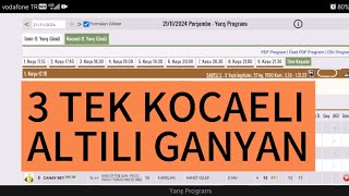 06082024 SALI KOCAELİ AT YARIŞI TAHMİNLERİ [upl. by Ahsiel]