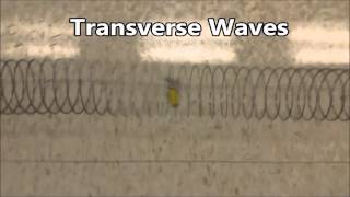 Transverse and Compression Waves Class Labs on Oct 27 and 28 [upl. by Letsirhc]